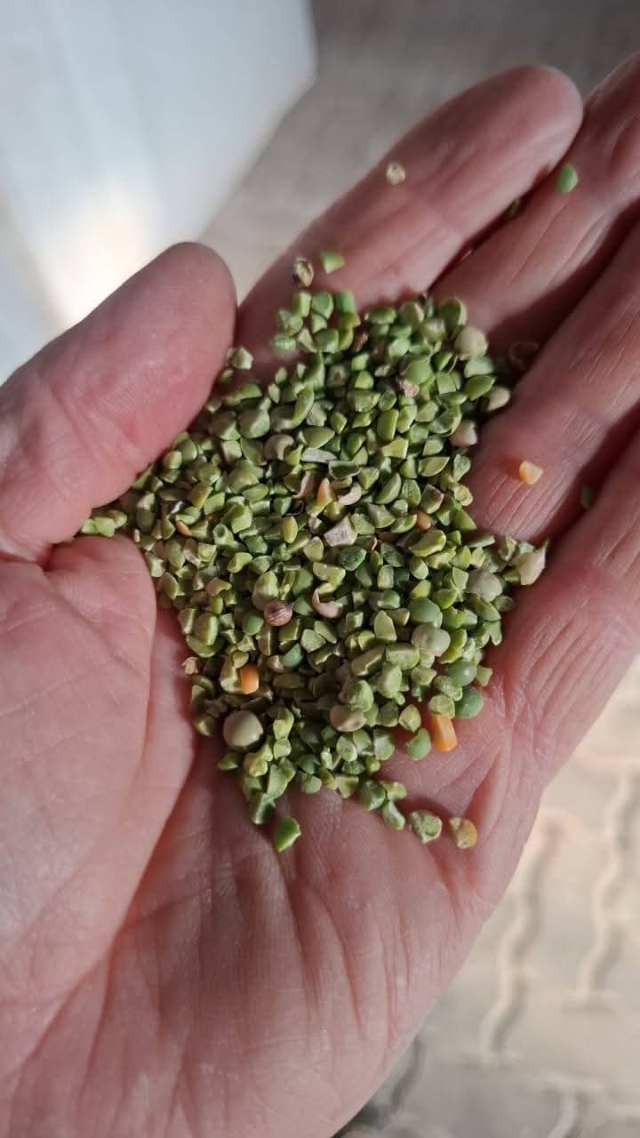 Animal Feed Stock - Lot 02