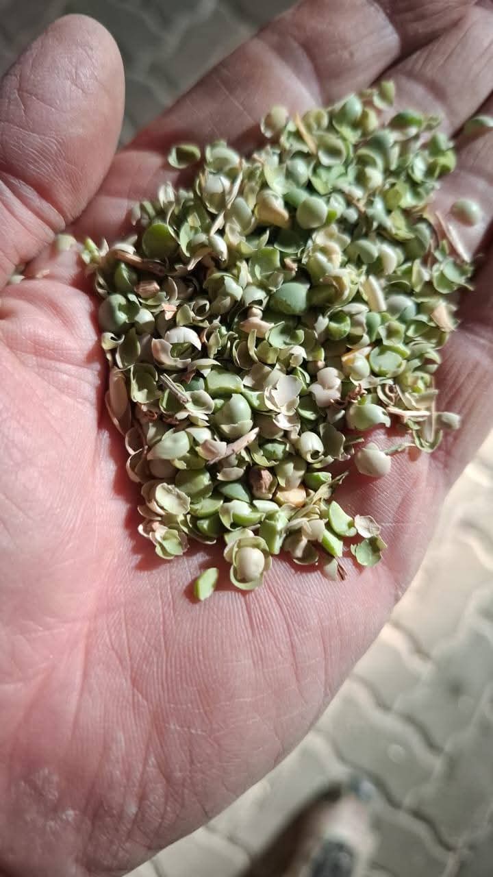 Animal Feed Stock - Lot 03