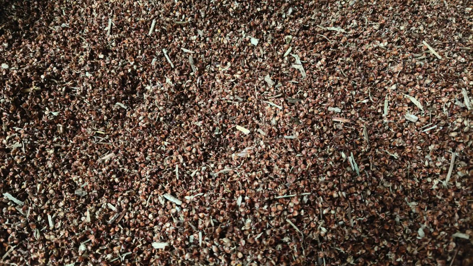 Animal Feed Stock - Lot 05