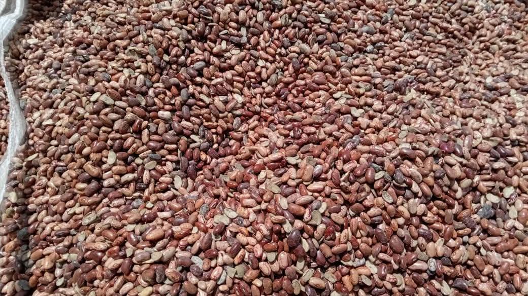 Animal Feed Stock - Lot 06