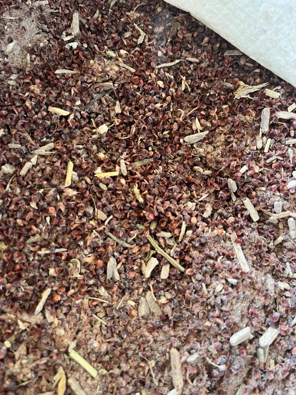 Animal Feed Stock - Lot 07