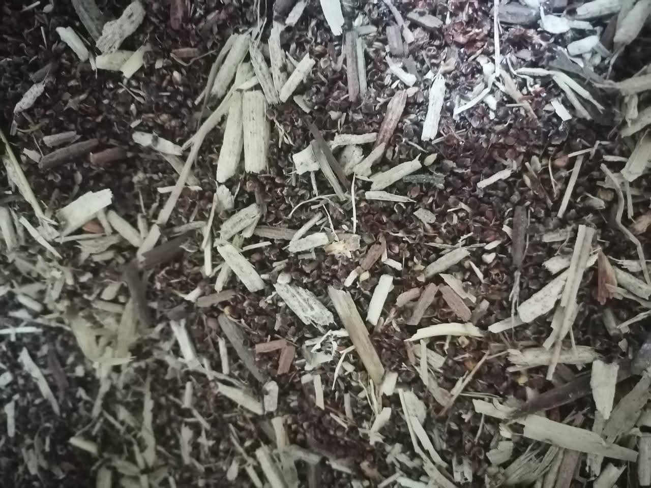 Animal Feed Stock - Lot 08