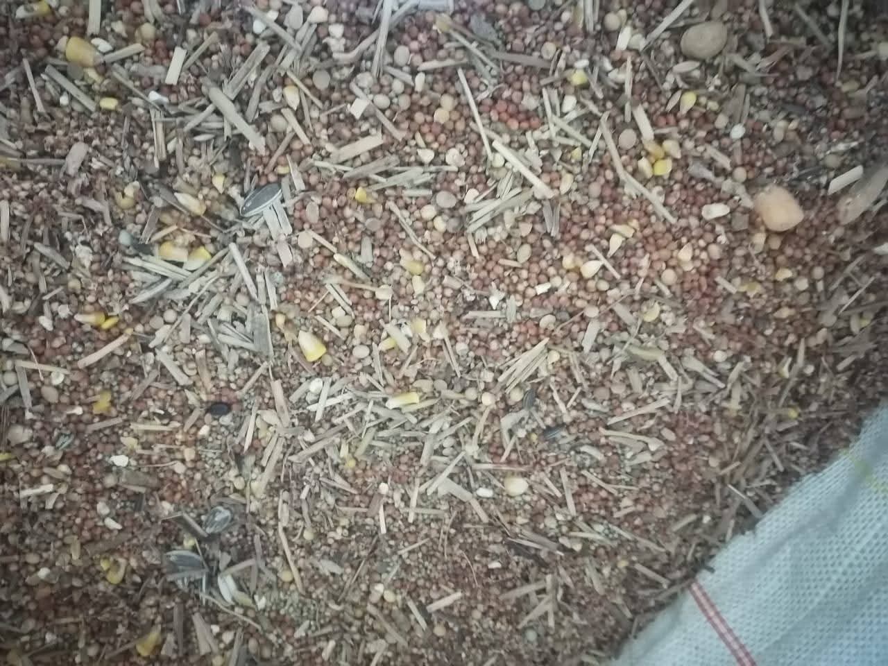 Animal Feed Stock - Lot 10