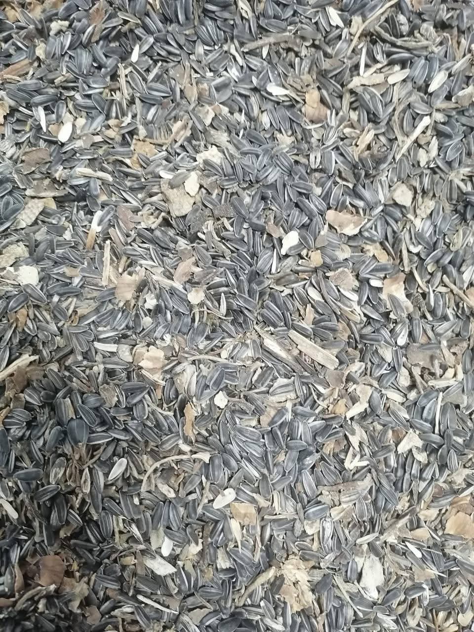 Animal Feed Stock - Lot 11