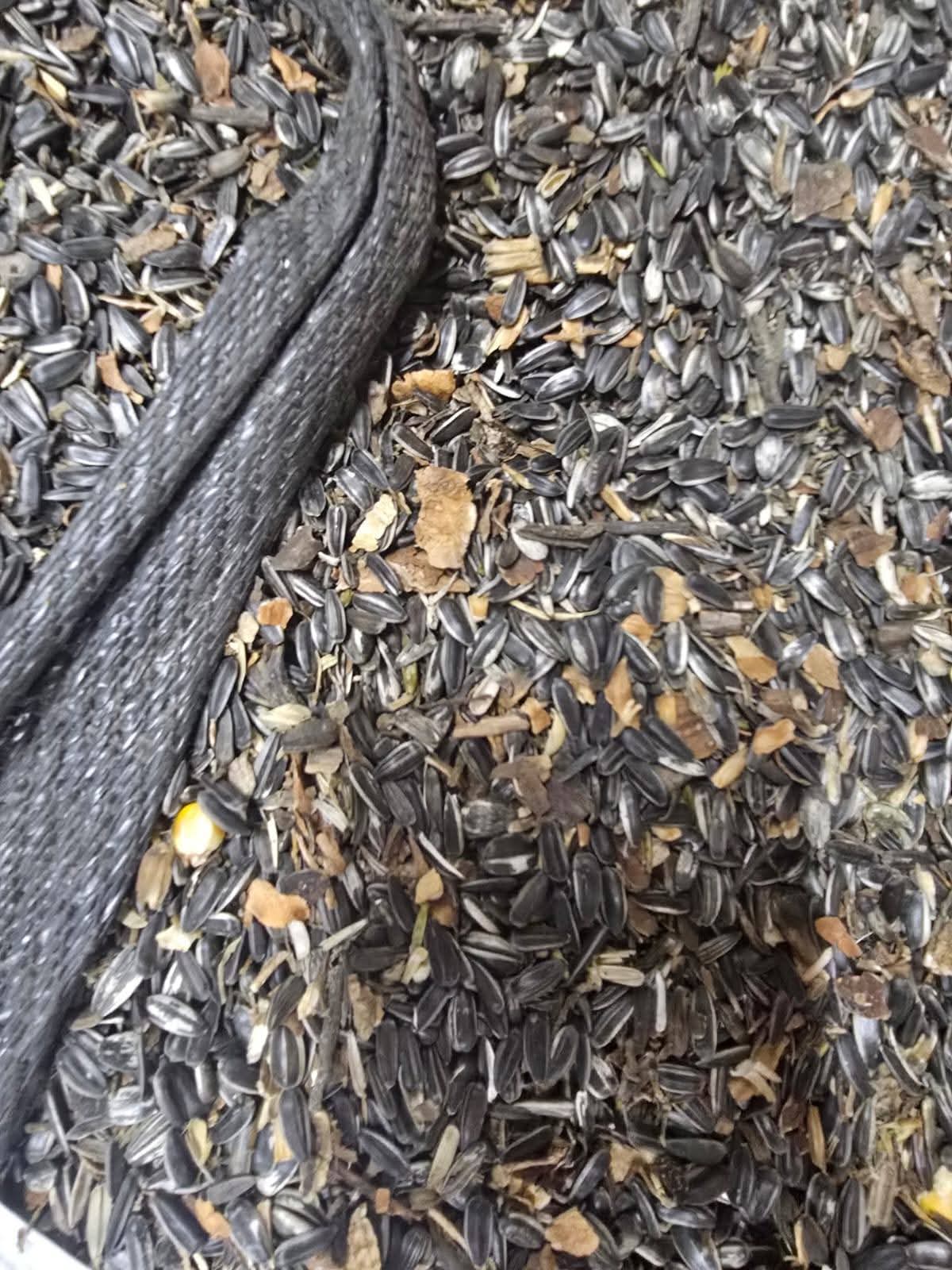 Animal Feed Stock - Lot 12